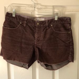 Carve Designs Oahu Short